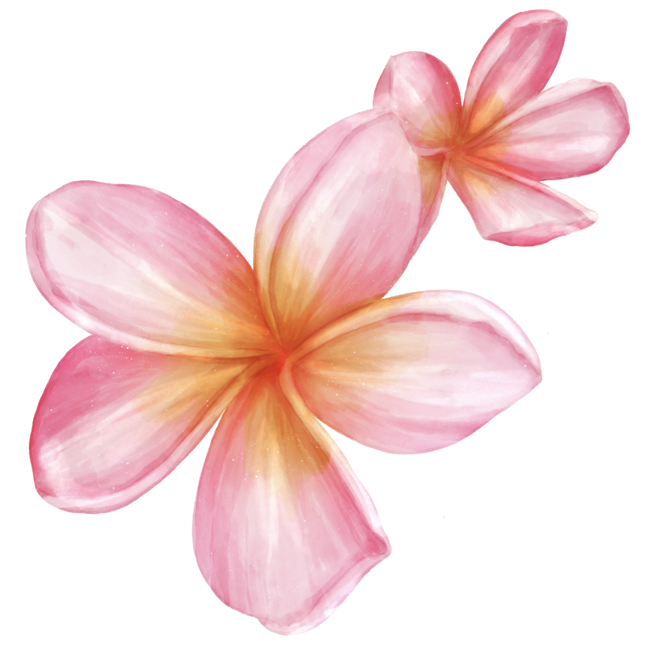 Te Wahine Atamai